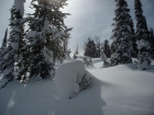 Snow covered trees near the summit of North Spring.