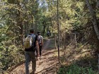 Shady trail on the north side of Stack Rock.