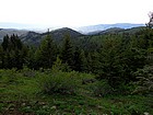 View north from the trail.