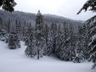 Another view of the lookout in the distance.