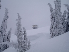 Trees near the summit barely able to stand up due to a rime ice buildup.