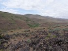 Sweet Butte from the south shoulder of Point 3630'.