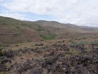 Sweet Butte from the south shoulder of Point 3630'.