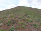 Following the fence line up the ridge.