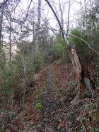 Heading up the trail.