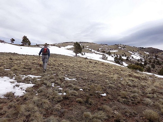 Mount Taylor Approach