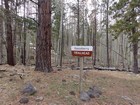 Gooseberry Trailhead.