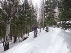 Trying to follow the snow covered trail.