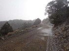 Snowing on the road hike to Mahogany Flat.