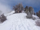 Lingering April snowfields on the north slopes of Telescope Peak.