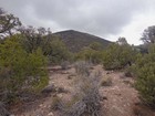 Wildrose Peak trail.