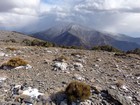 Rogers Peak from Wildrose Peak.