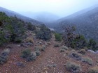 Almost back to the Charcoal Kilns trailhead.