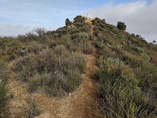 Nearing the summit of Temescal Peak.