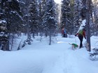 Heading up into the trees. -10'F in the shade.