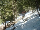 Making our way up through the trees early in the hike.