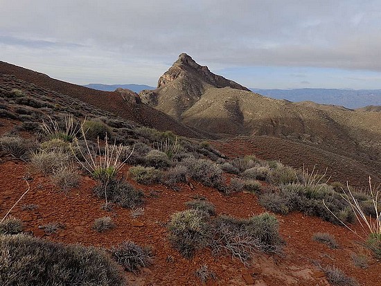 On the approach to Thimble Peak.