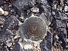 Thimble Peak summit marker.