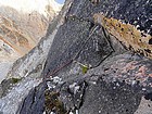 Wild rappel anchor on the north face of Mickey's Spire.