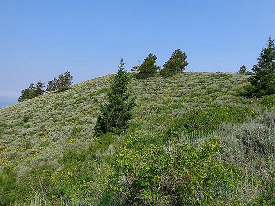 Thorn Creek Butte fire lookout.