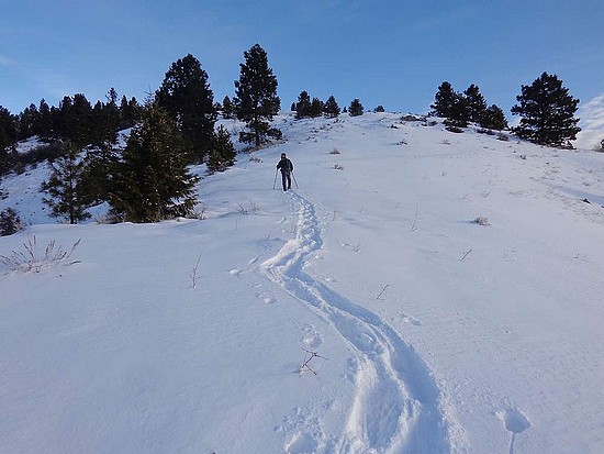 Snowshoeing toward Thorn Peak.