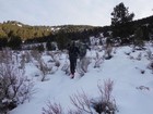 Making our way up toward Thorn Peak.