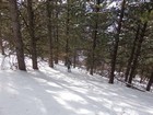 Descending into the trees.