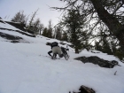 The hardest part of the day was crawling up this steep stuff to reach the ridge.