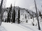 Looking up at the northeast face of Thunderbolt Mountain.