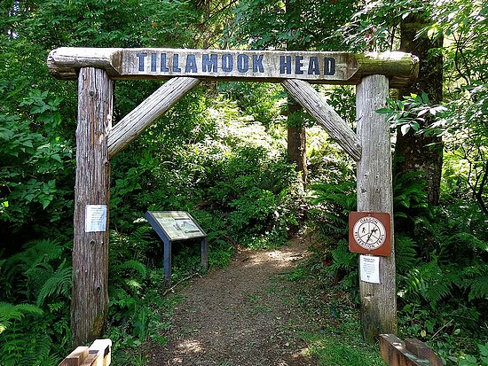 Tillamook Head