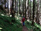 Heading up the trail.