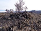 Summit of Toy Peak.