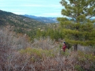 Stopping for a break in the brush, Schaffer Butte in the background.