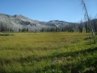 Open meadow, not far from the trailhead.