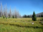 Heading back to the trailhead.