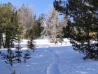 Lots of open meadows as we climbed up through Sawmill Canyon.