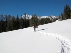 Dave in an open meadow on the way up Sawmill Canyon. GeorgeR photo.