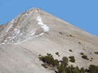 Mountain Goats grazing on the named summit of Croesus Peak.