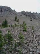 The gully we climbed to get from Swimm Lake over to Iron Basin.