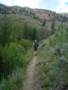 Hiking back down the Little Boulder Creek trail.
