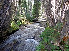 Our log crossing over Warm Springs Peak.