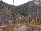 Bendy section of Warm Springs Creek.