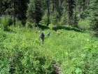 Hiking on the lower portion of the trail.