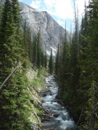 We followed the West Fork Wallowa River most of the first day. Here's a shot taken at about 6700' elevation.
