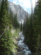 West Fork Wallowa River.