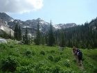Hiking through an alpine meadow with Cusick Mountain in the background.