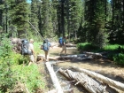 Bill, JJ, and Ken at a log crossing of Redfish Lake Creek during our bushwhack.