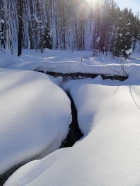 Winter scene on Fisher Creek.