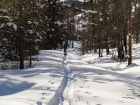 Heading back down the trail.