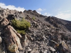 Scree covered southwest face of Alta Peak.